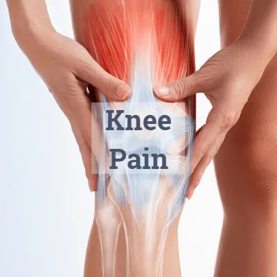 some of the muscles, ligaments, tendons joints around the knee that can be the cause of knee pain